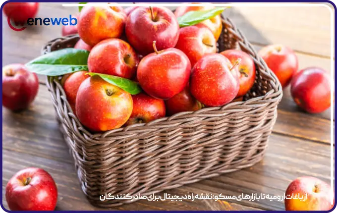 از باغات ارومیه تا بازارهای مسکو: نقشه راه دیجیتال برای صادرکنندگان